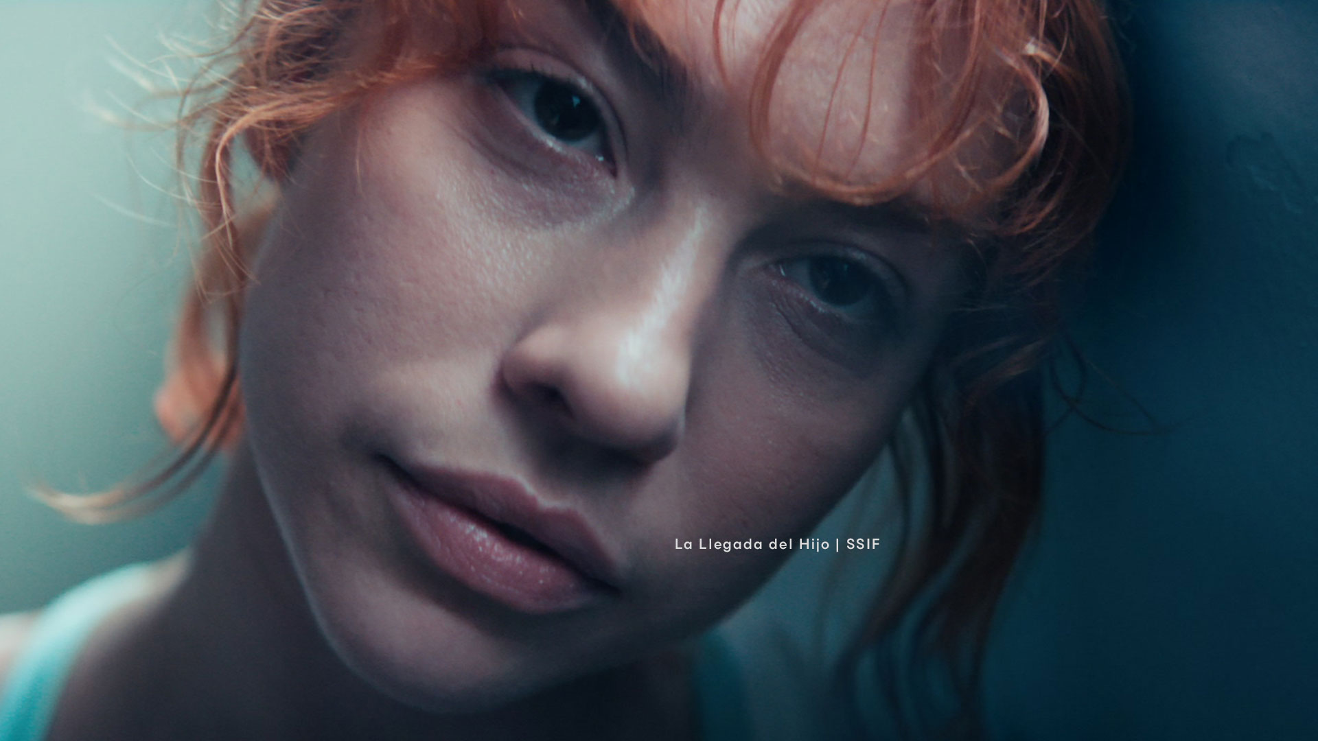 Section background image